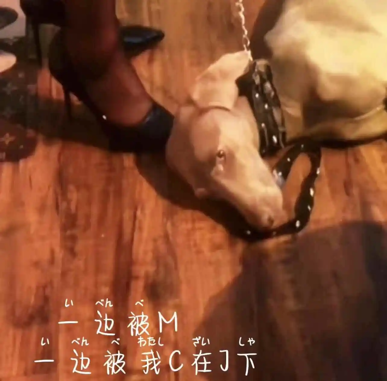 【西檬之家】TK是什么意思？字母圈新人如何安全探索挠痒痒互动
