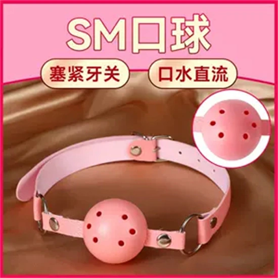 西檬之家-K9犬系的含义与实践指南