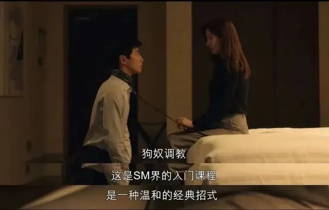 西檬之家-BDSM是什么？新人入圈指南，了解字母圈核心术语