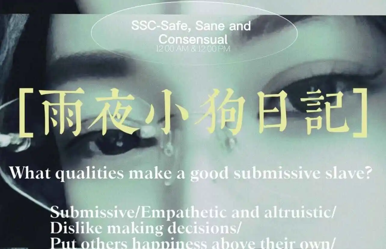 西檬之家 - 字母圈PE是什么？全面解析权力交换的概念与实践