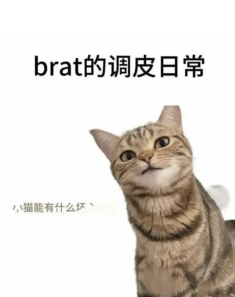 【西檬之家】OTK是什么意思？字母圈新人如何理解跨膝惩戒