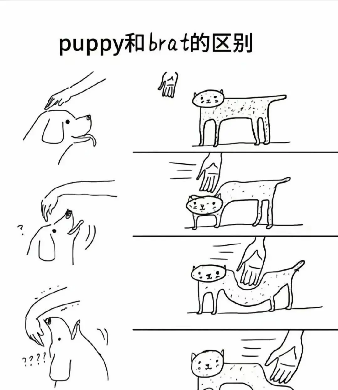 西檬之家-Brat属性是什么？字母圈中的独特存在