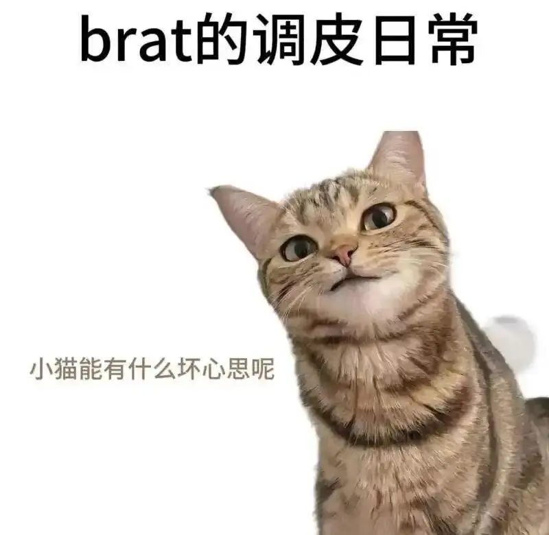 西檬之家-字母圈Aftercare实践指南