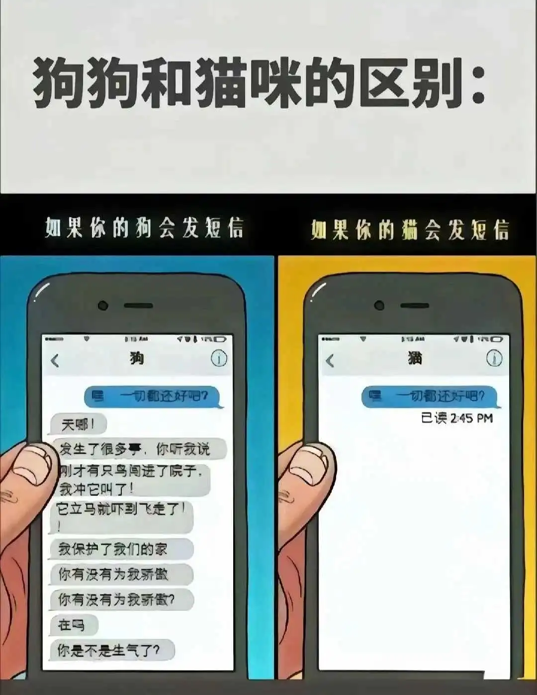 【西檬之家】字母圈新人如何入圈？BDSM核心术语与安全指南